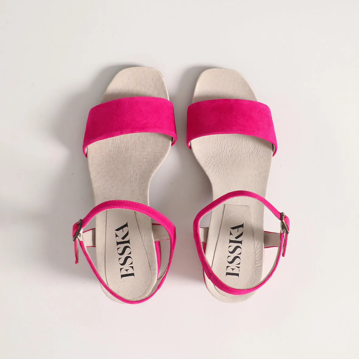 Asma Fuchsia