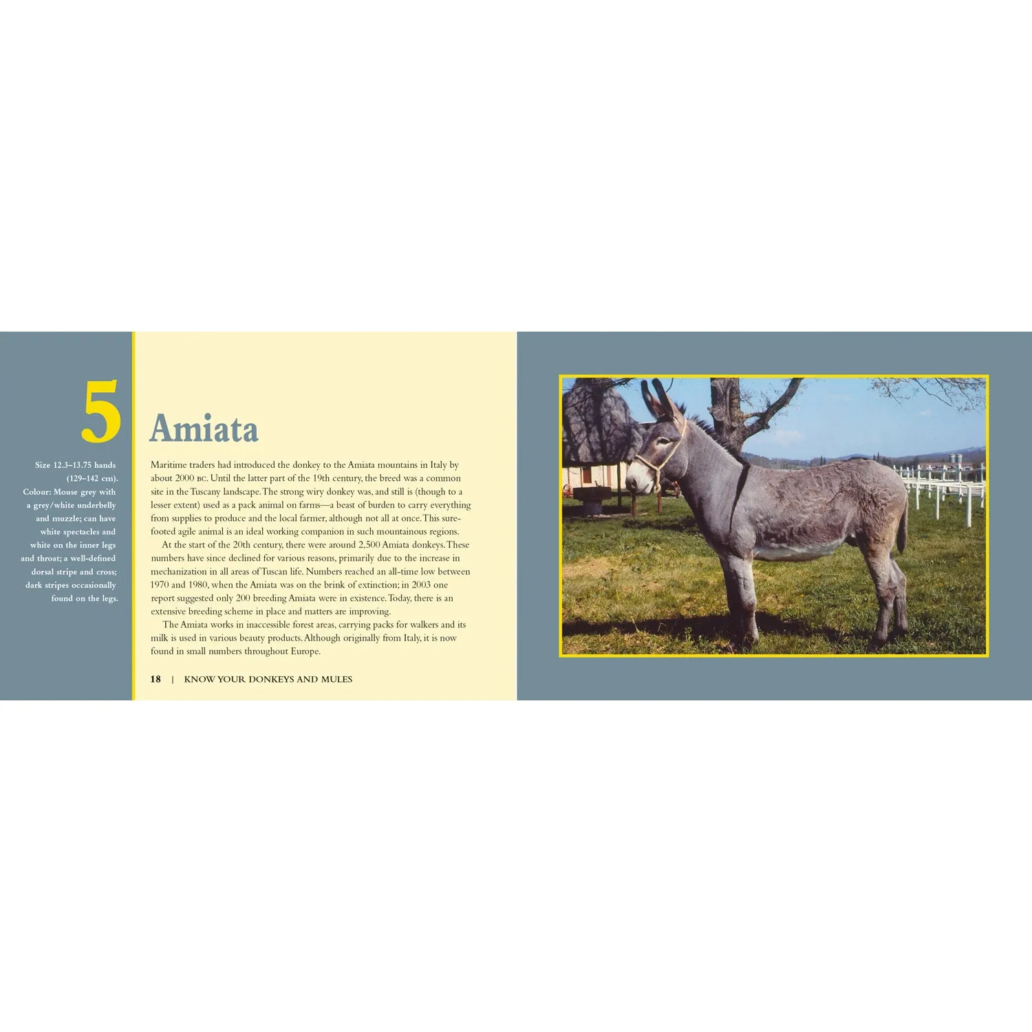 Know Your Donkeys & Mules Book by Jack Byard 9781912158560